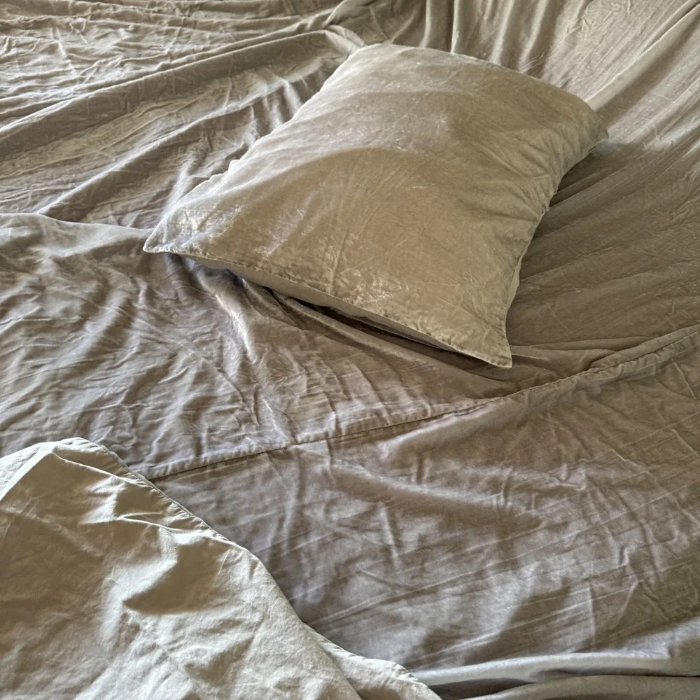 West Elm Duvet Cover Set Full Queen Silver Crushed Velvet Shimmer 1 pillow sham